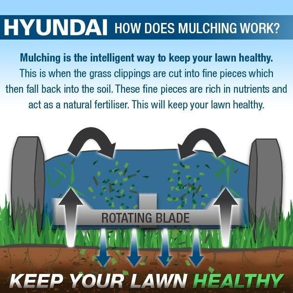 Hyundai Self-Propelled Petrol Lawnmower | Hyundai 17"/43cm 139cc | 3 Year Platinum Warranty